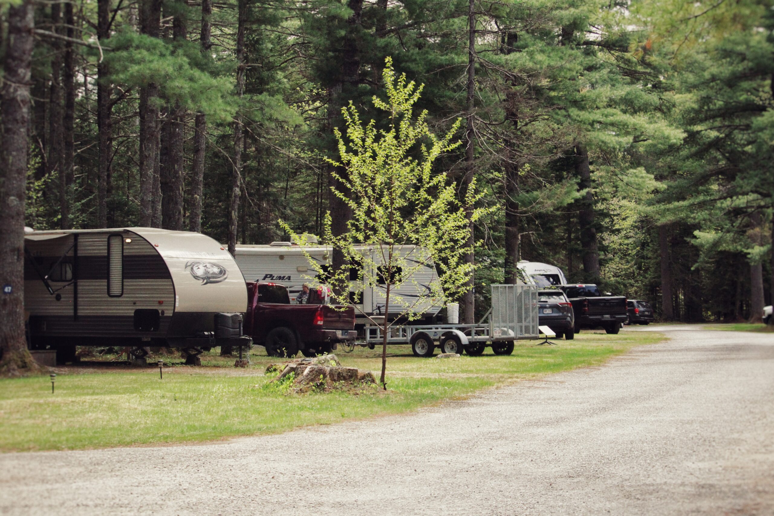 Enclosure Campground photo 2