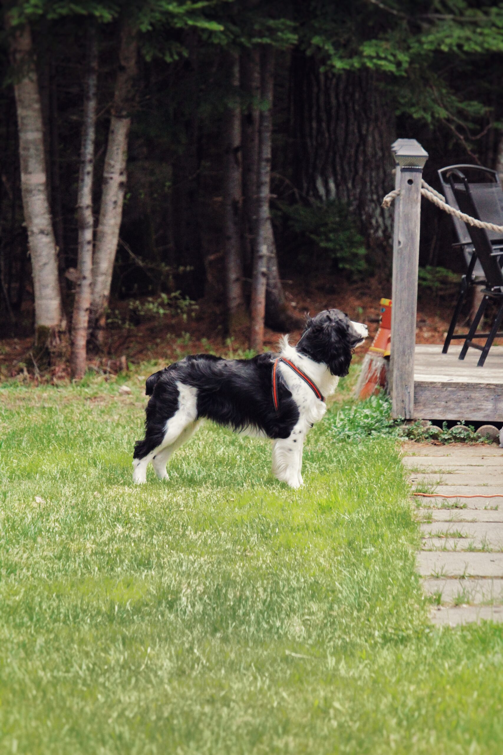 Enclosure Campground photo 7