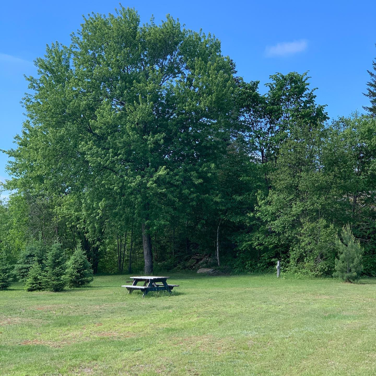 Little Mississippi Resort & Campground photo 2