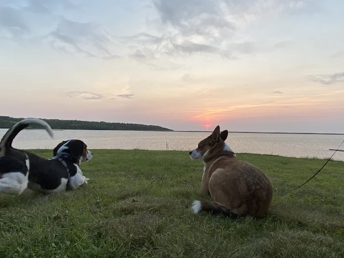 Hyclass Ocean Campground photo 6