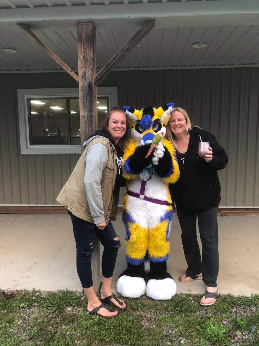 Prospect Hill Campground photo 2