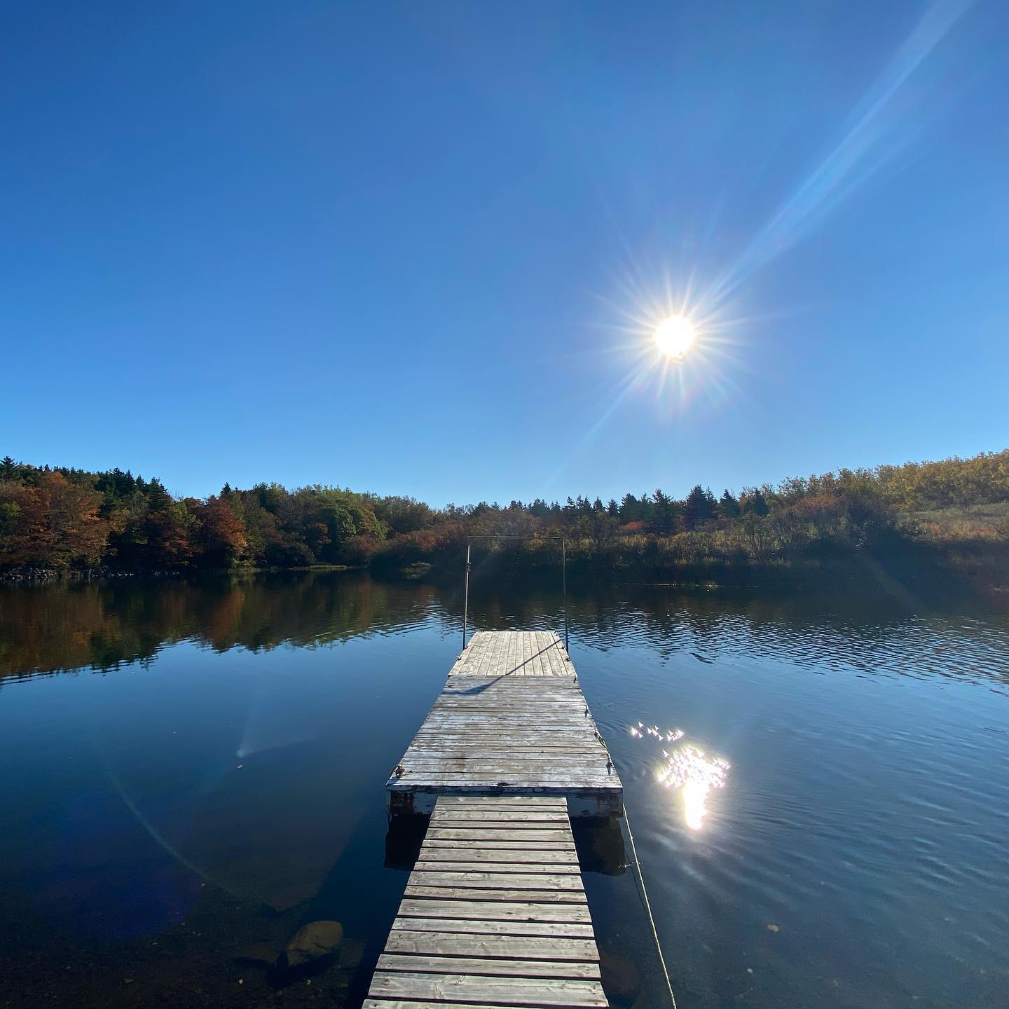 Hyclass Ocean Campground photo 8