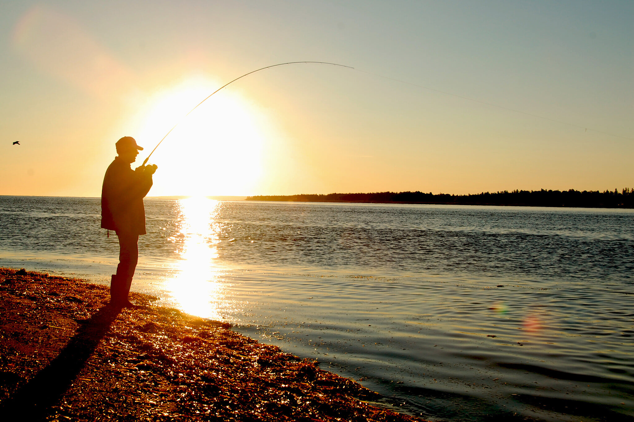 Clearwater RV Park & Campground photo 4