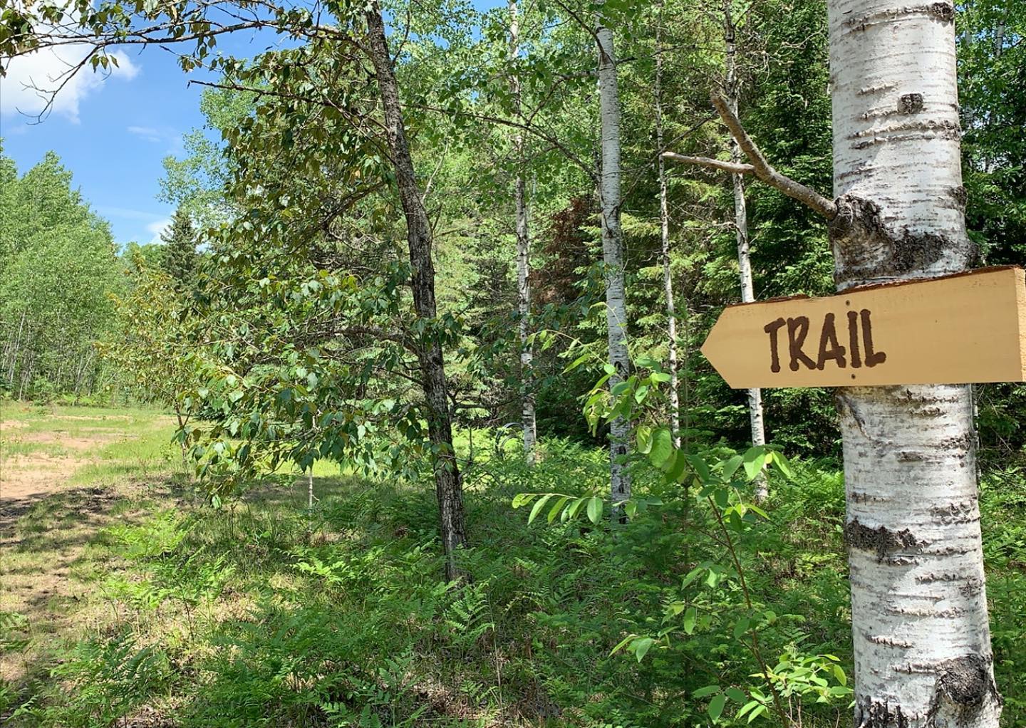 Little Mississippi Resort & Campground photo 5