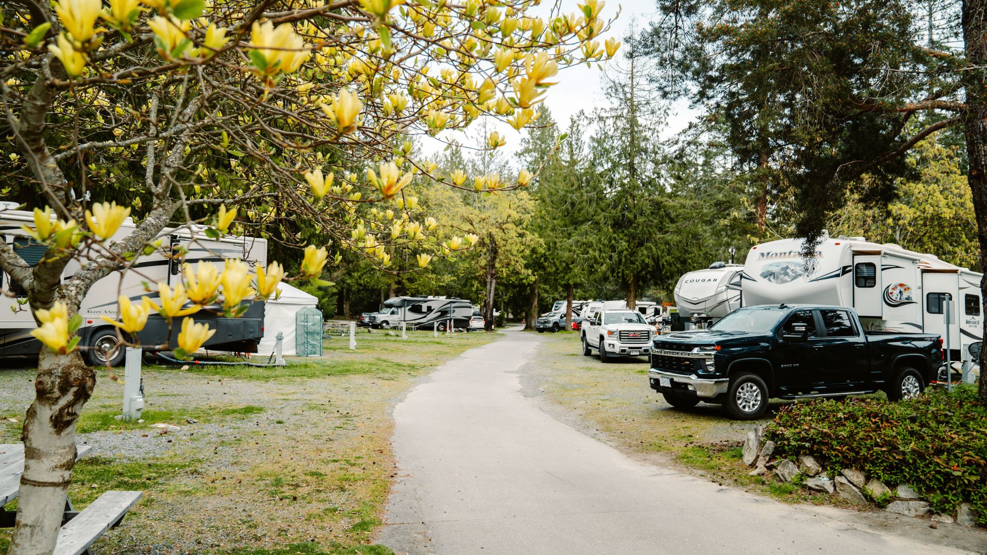 Pathfinder Parksville photo 3