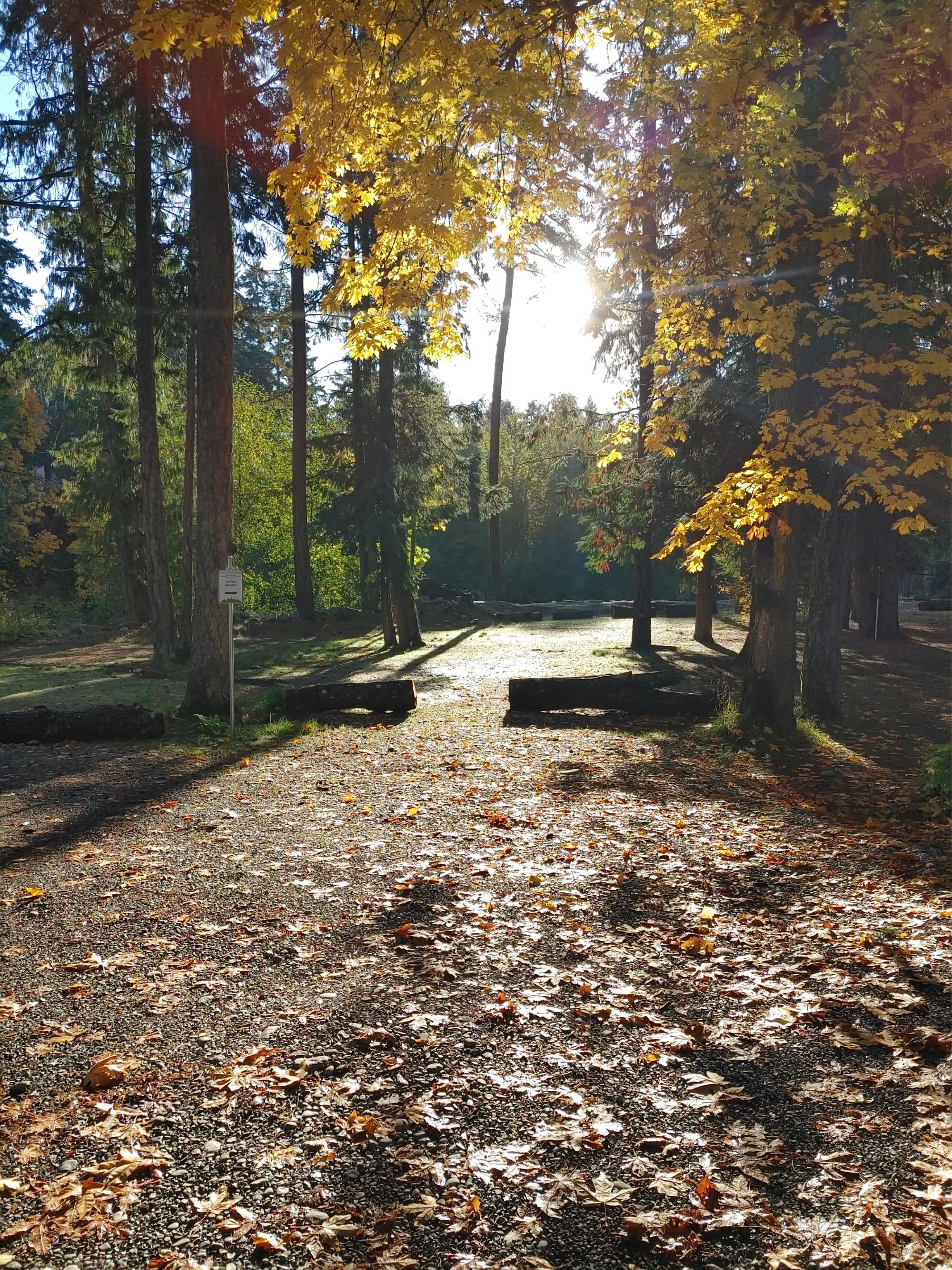 Pathfinder Parksville photo 9