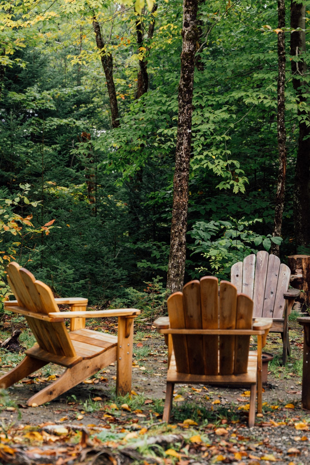 Camping du Lac Lyster photo 2