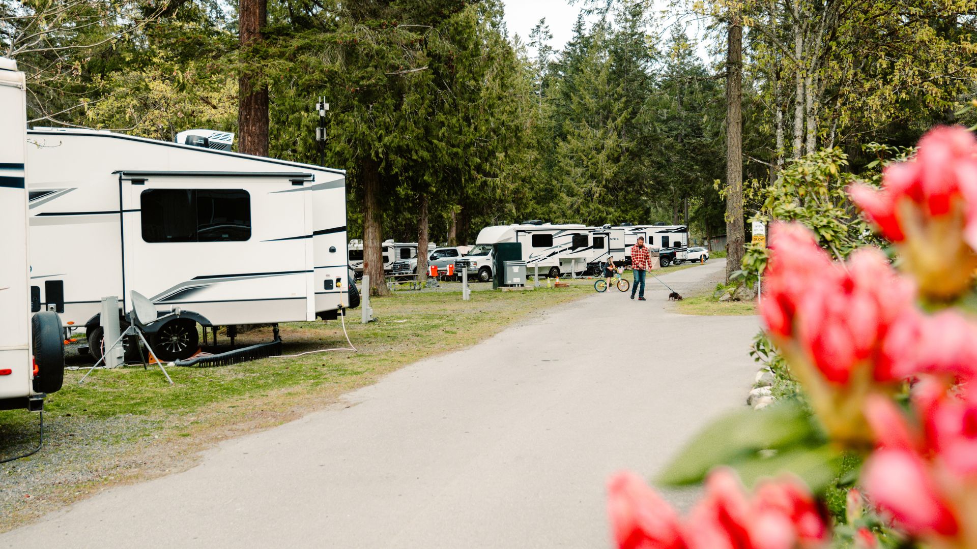 Pathfinder Parksville photo 6