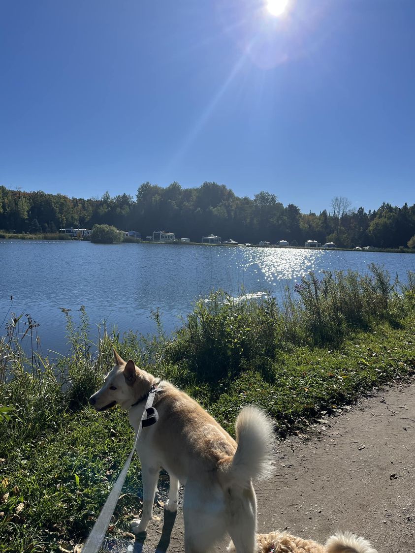 Rainbow Valley Family Holiday Park photo 4