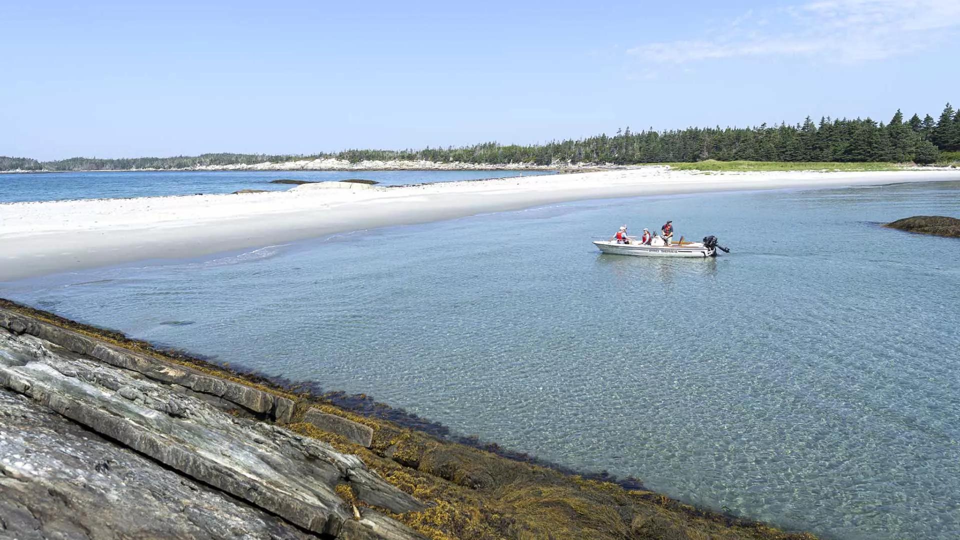Murphy’s Camping on the Ocean activities