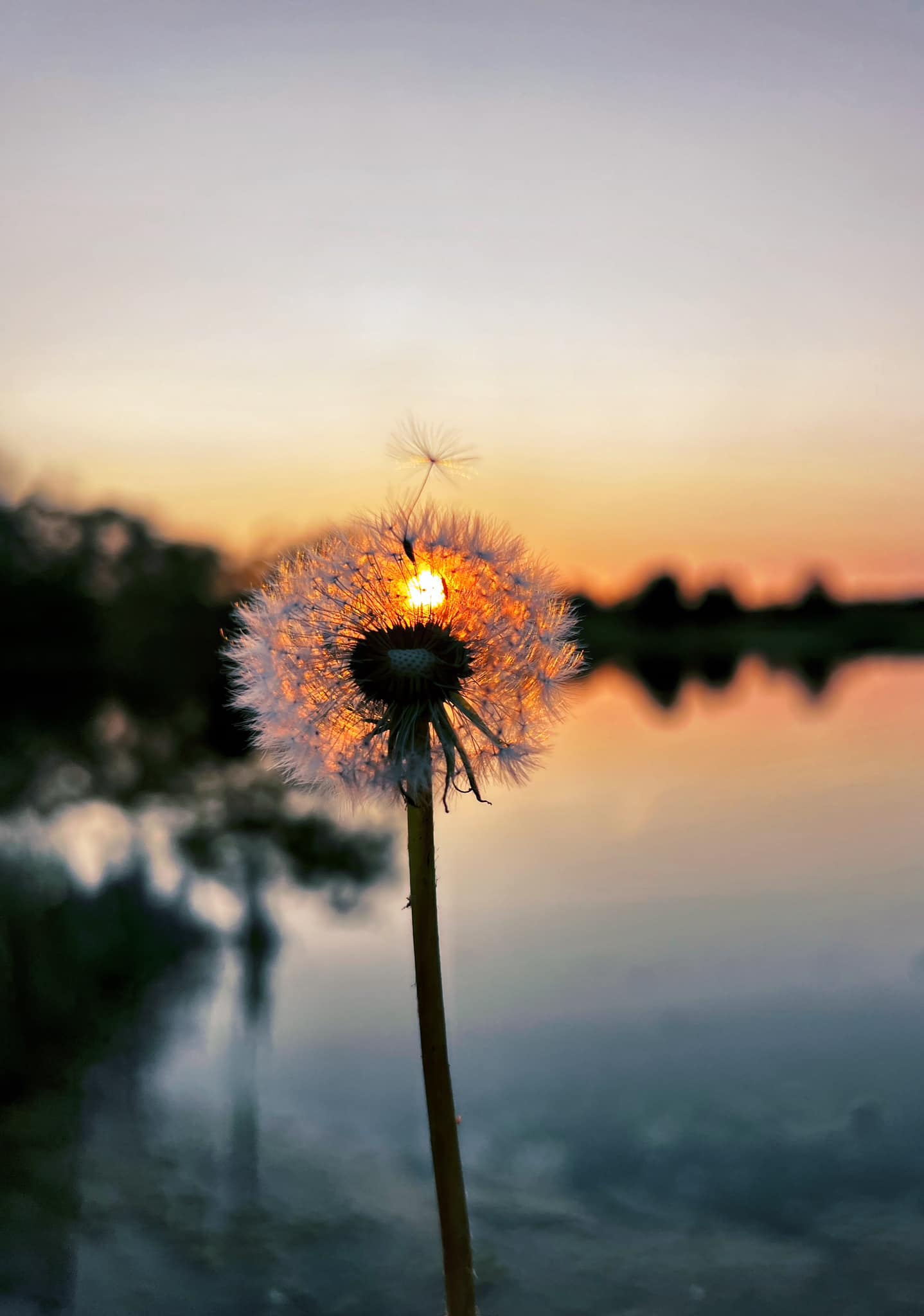 Rainbow Valley Family Holiday Park photo 3