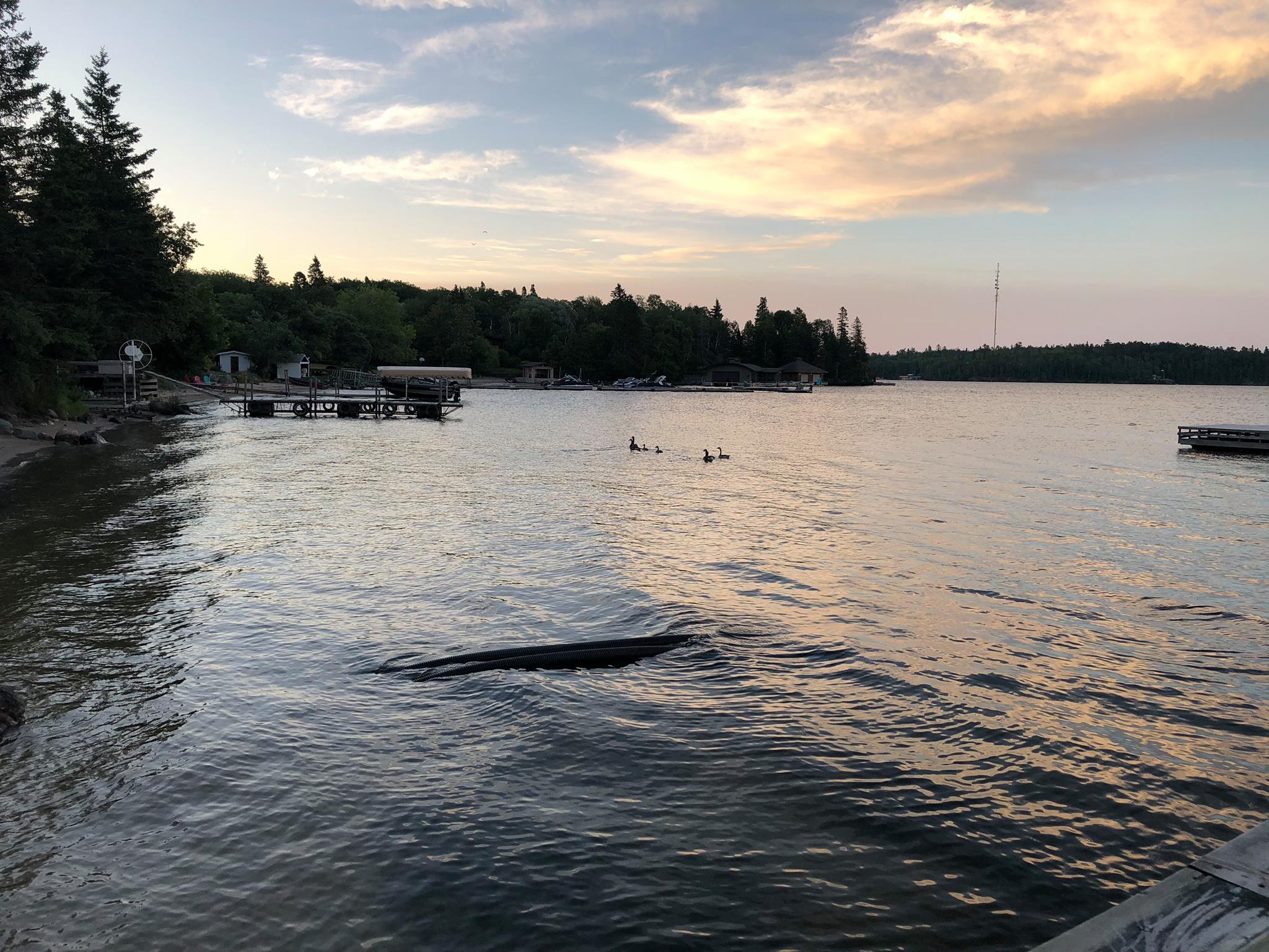 Pye's Landing photo 1