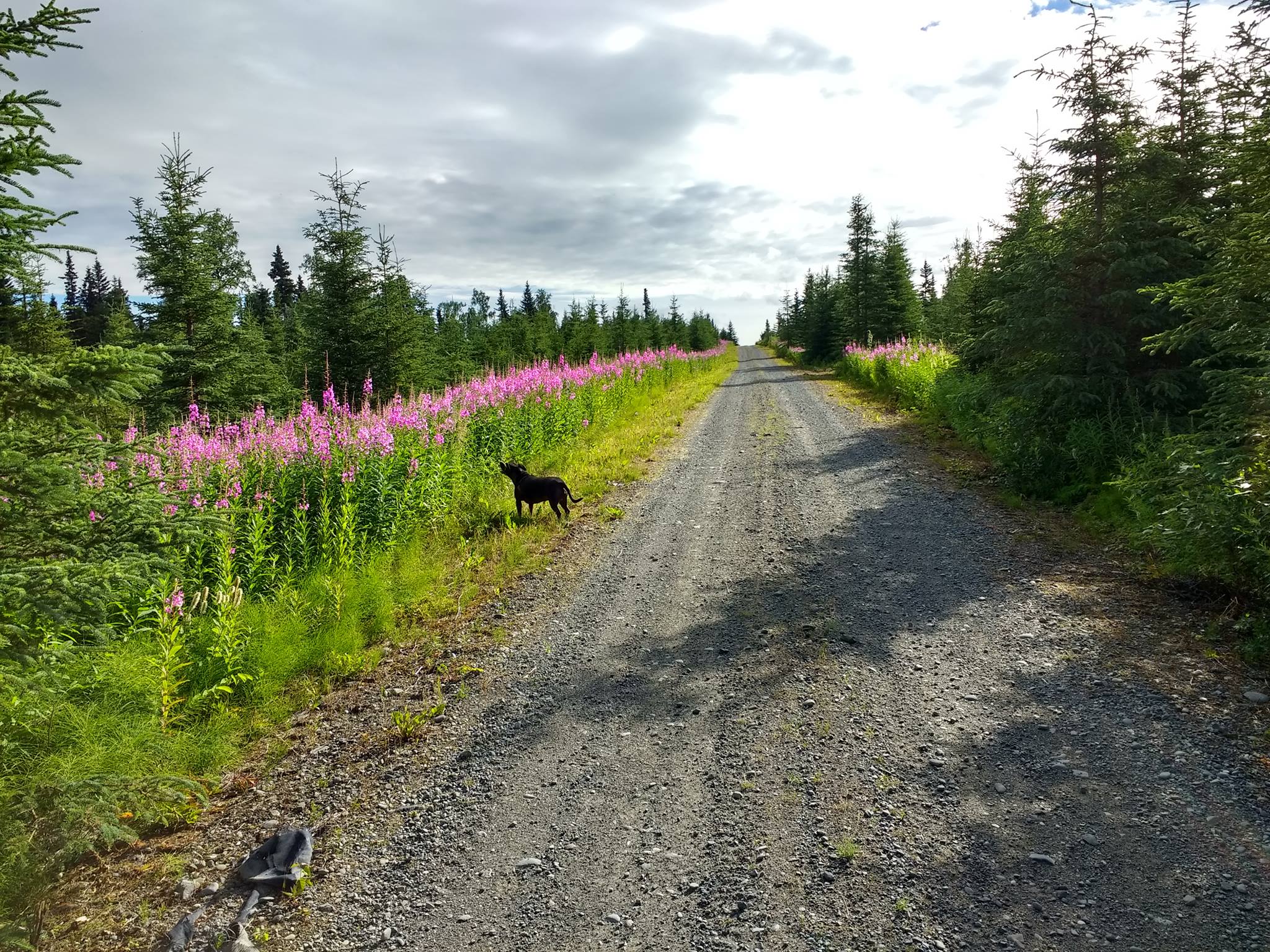 All Seasons Campground amenities