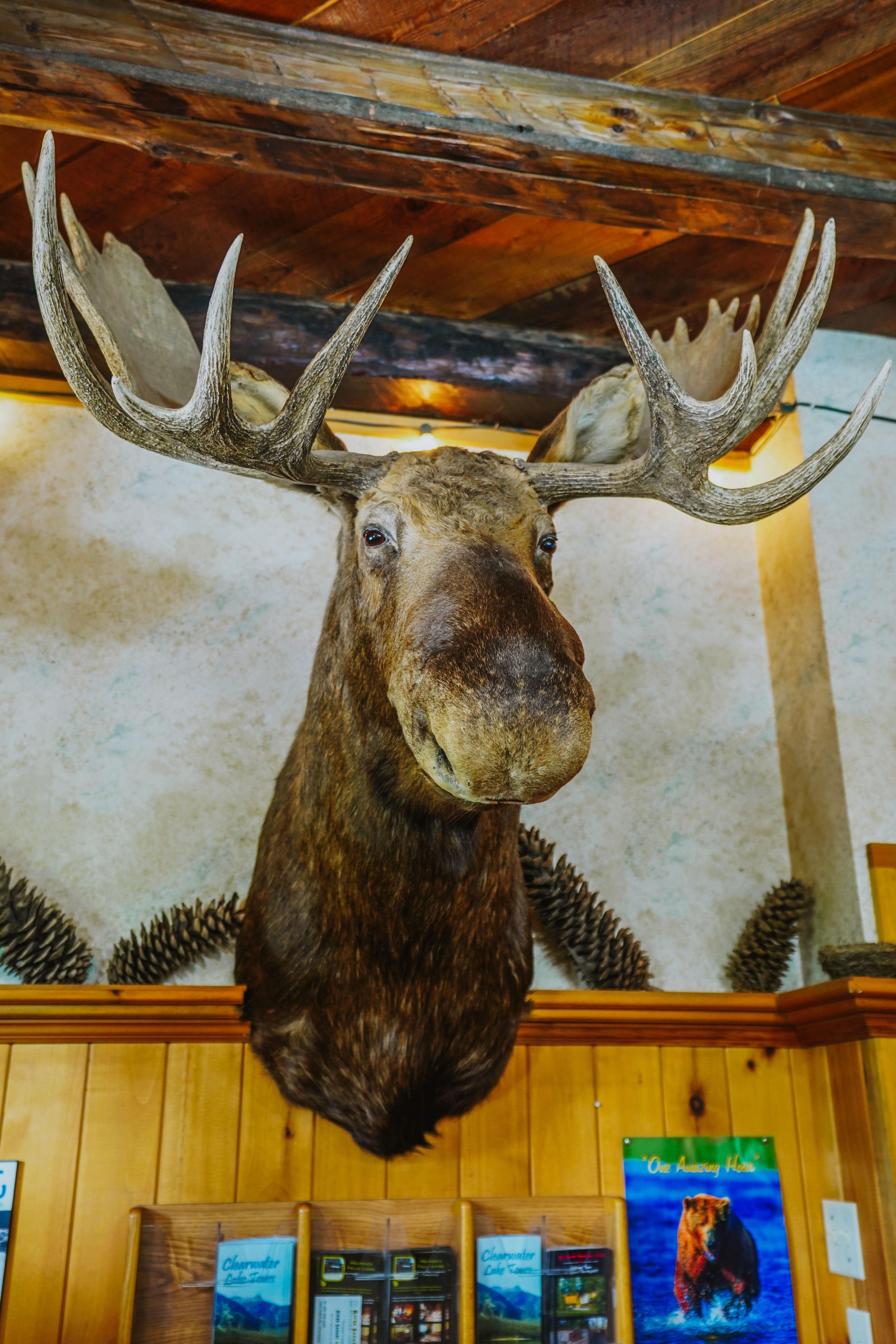 Helmcken Falls Lodge & RV Park photo 8