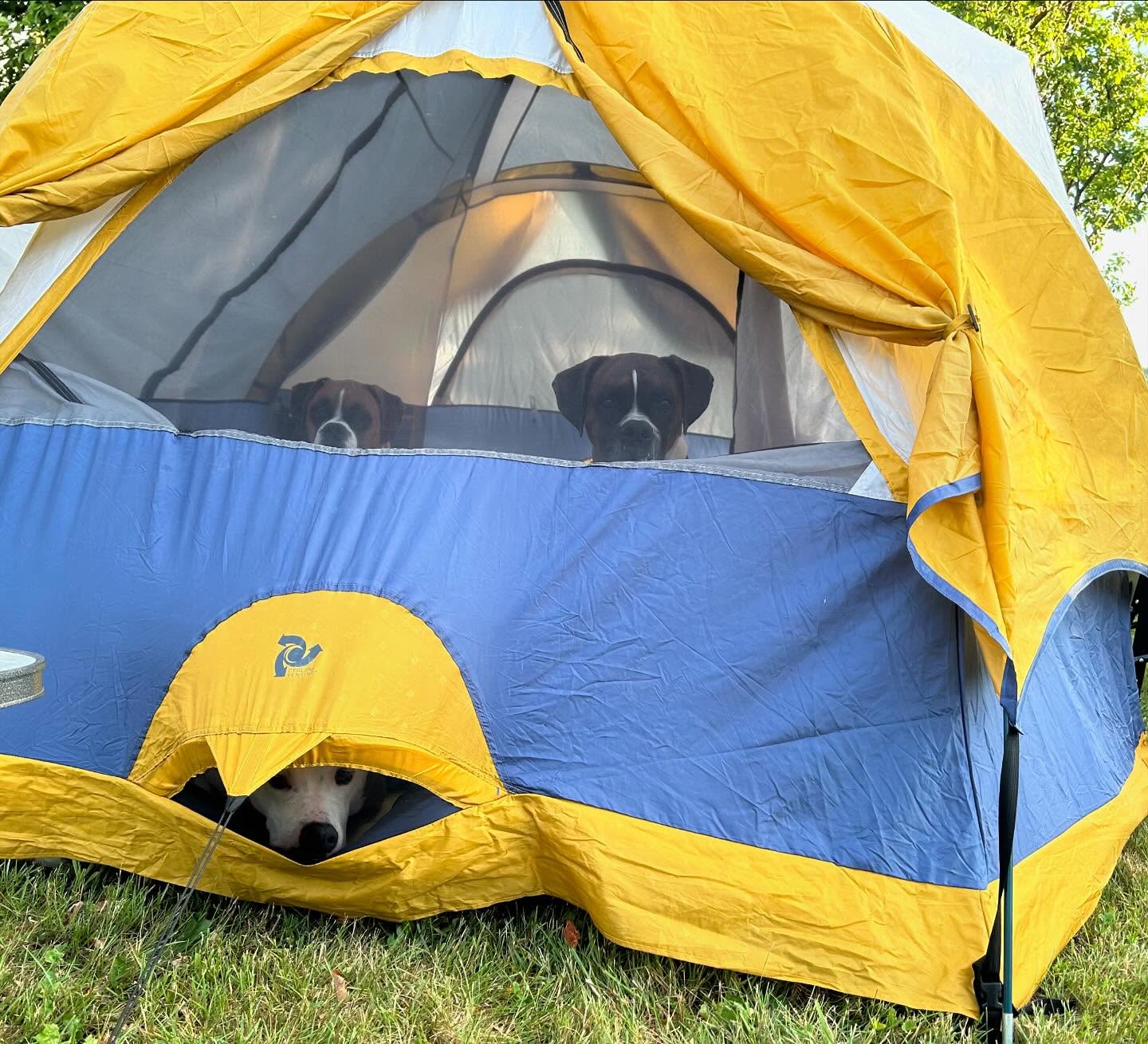 Hyclass Ocean Campground photo 9