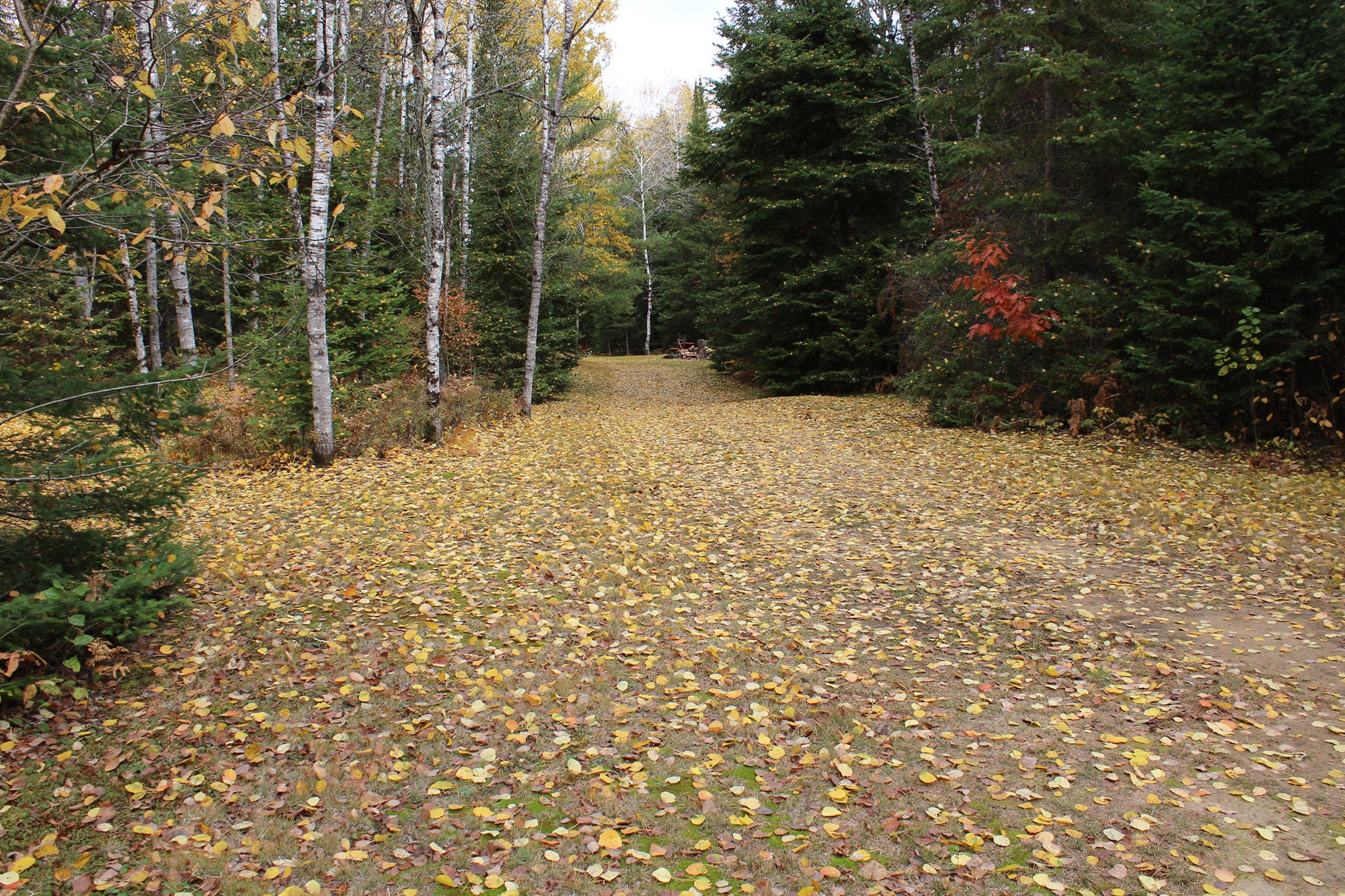 Little Mississippi Resort & Campground photo 6