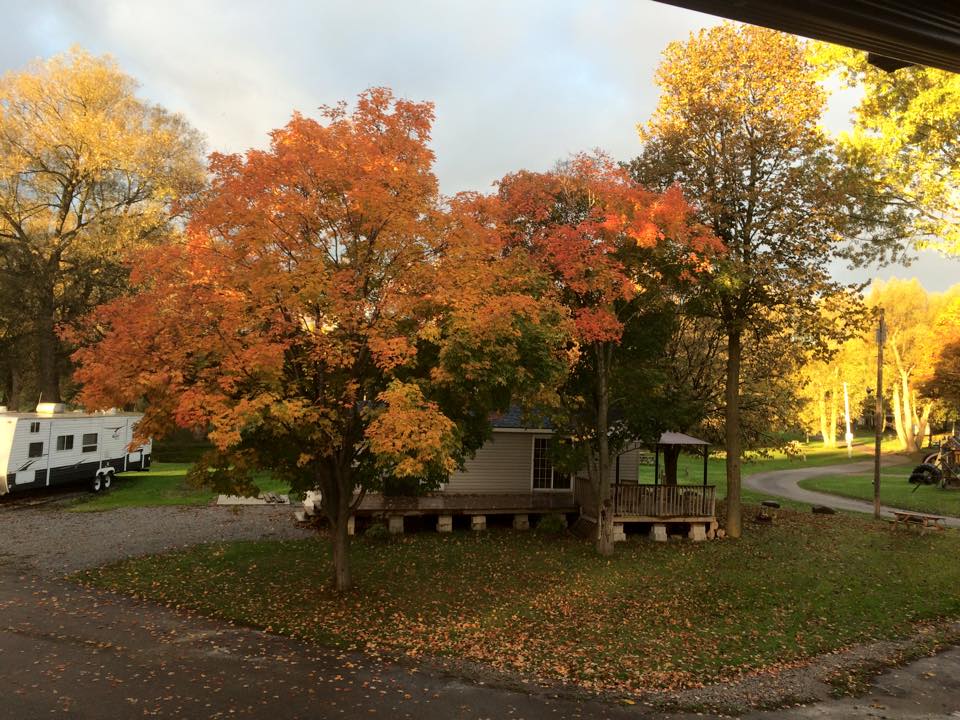 Prospect Hill Campground photo 3