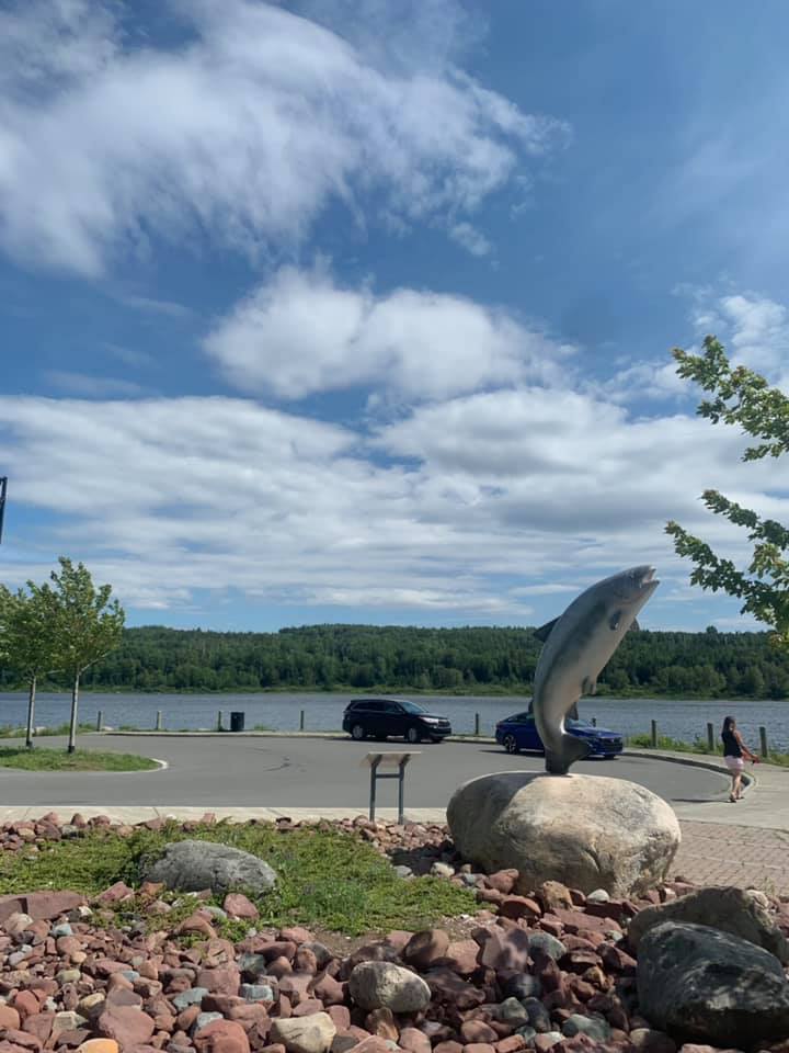 Sanger Memorial RV Park photo 7