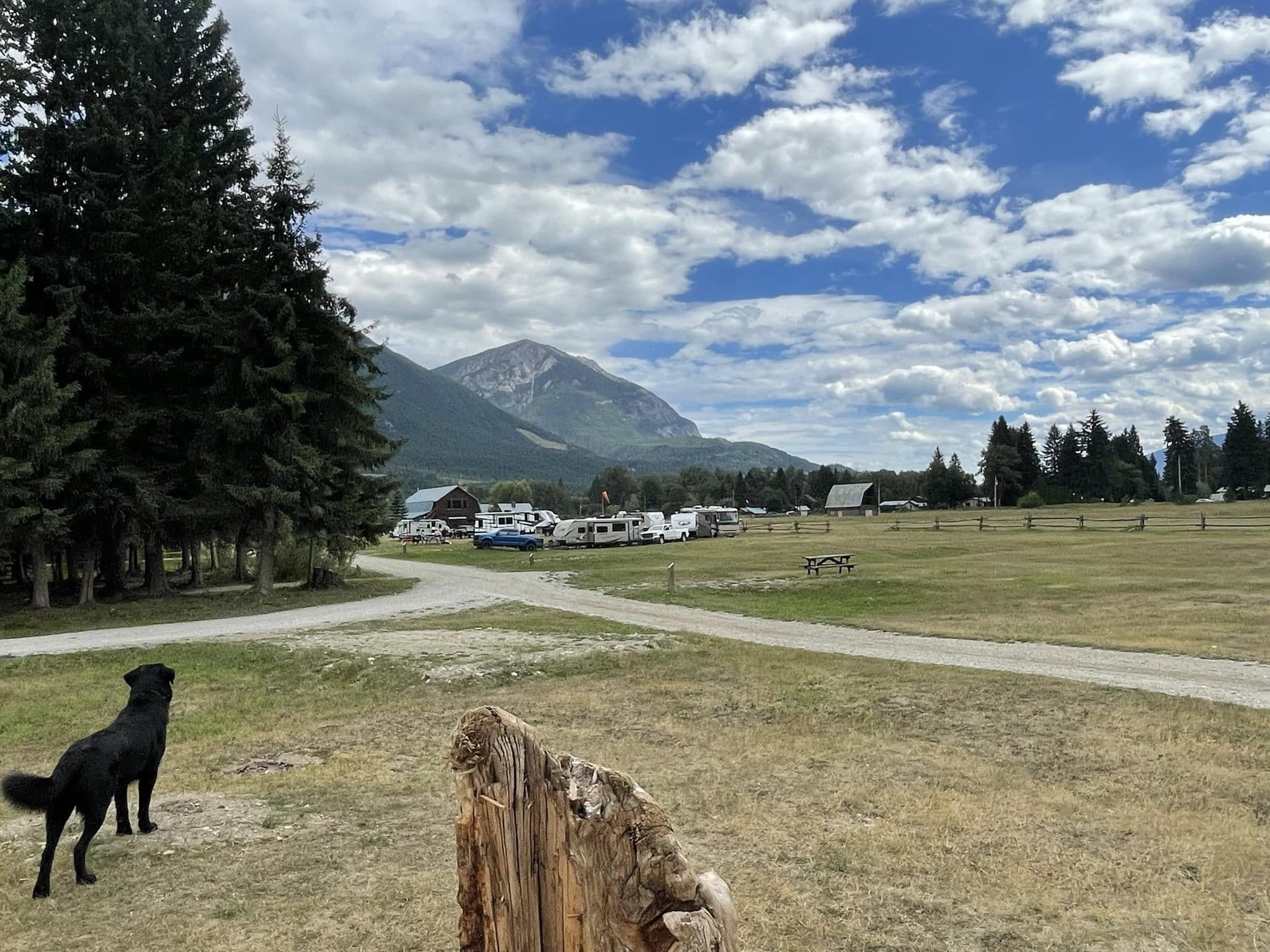 Golden Riverfront Campground photo 1