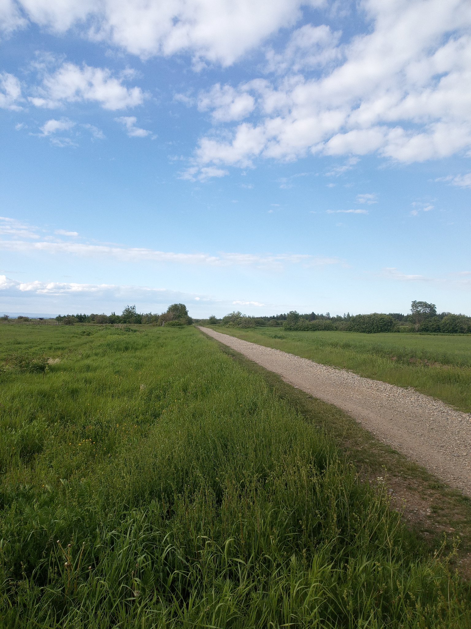 Clearwater RV Park & Campground photo 7