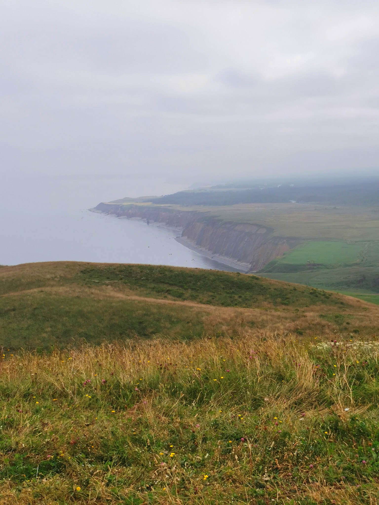 Pirate's Haven RV Park photo 4