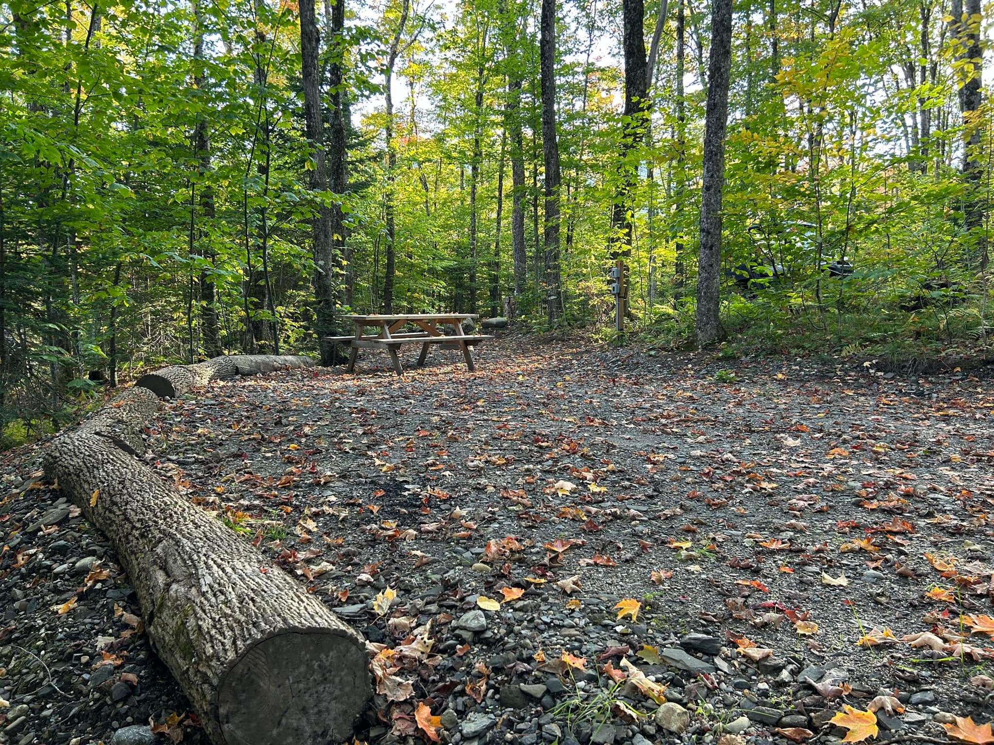 Camping du Lac Lyster photo 8