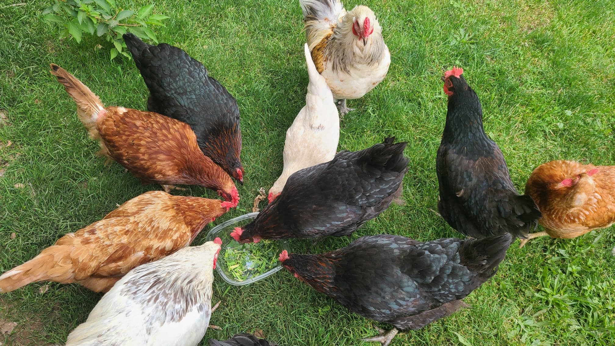 Saugeen Springs R.V. Park photo 1