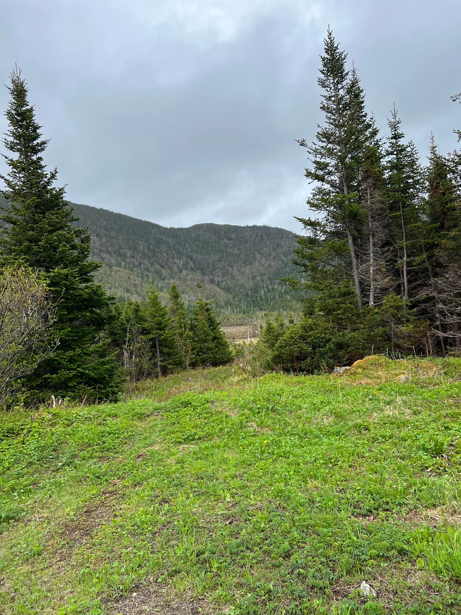 Pirate's Haven RV Park photo 3