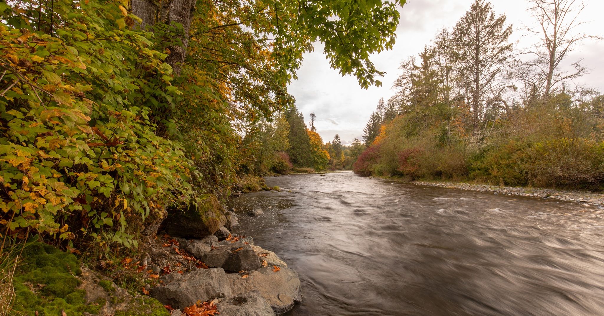 Riverside Resort & Campground photo 9