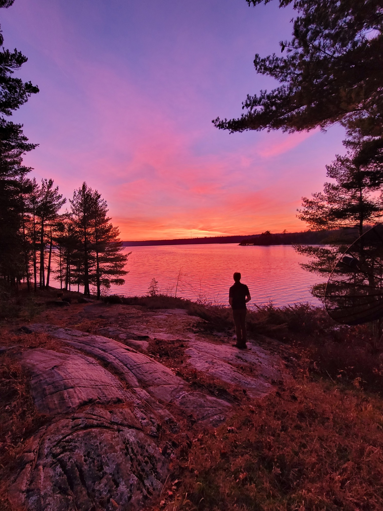 Pineaires Resort photo 1