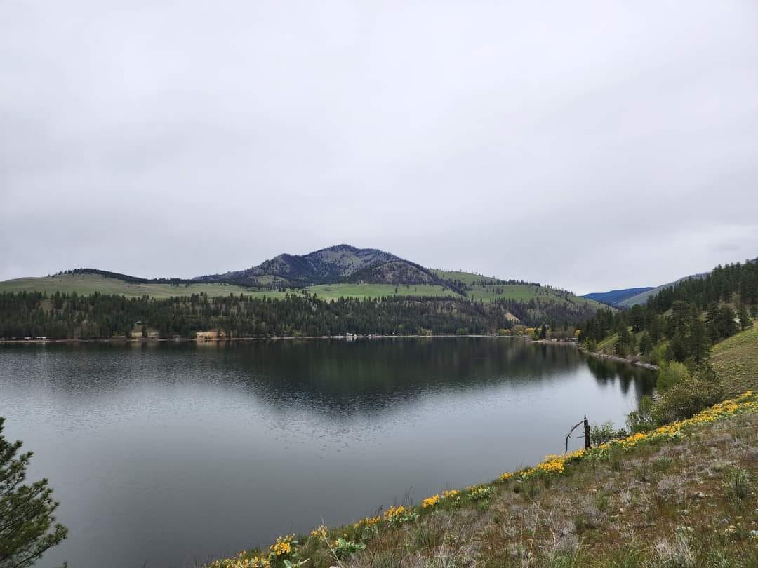 Liar's Cove Resort RV sites