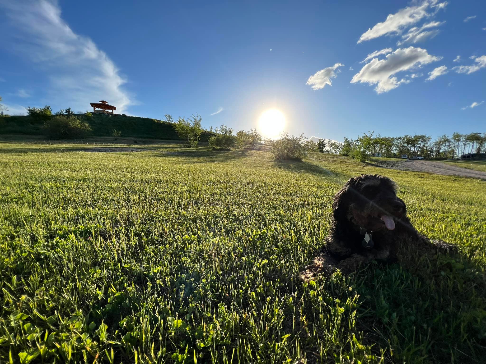Green Valley RV & Cabins photo 8