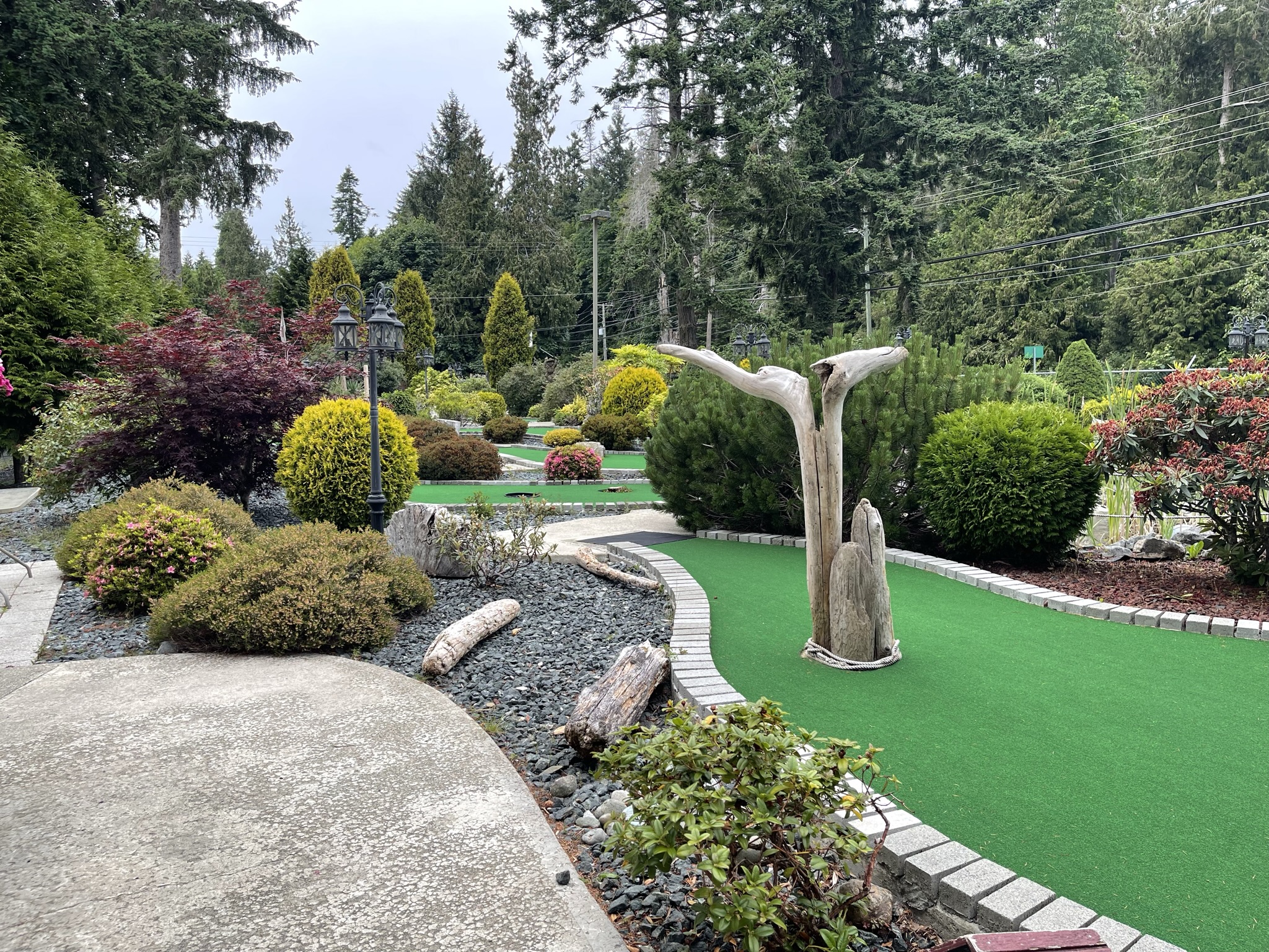 Riverside Resort & Campground photo 1