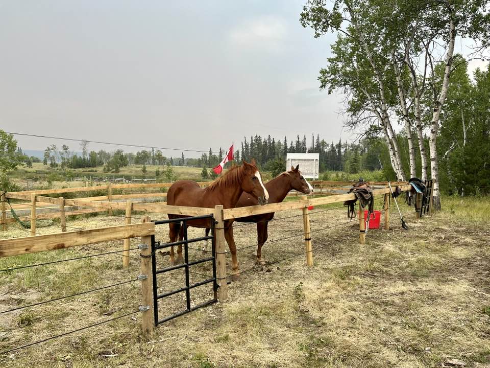 Little Horse Lodge photo 3