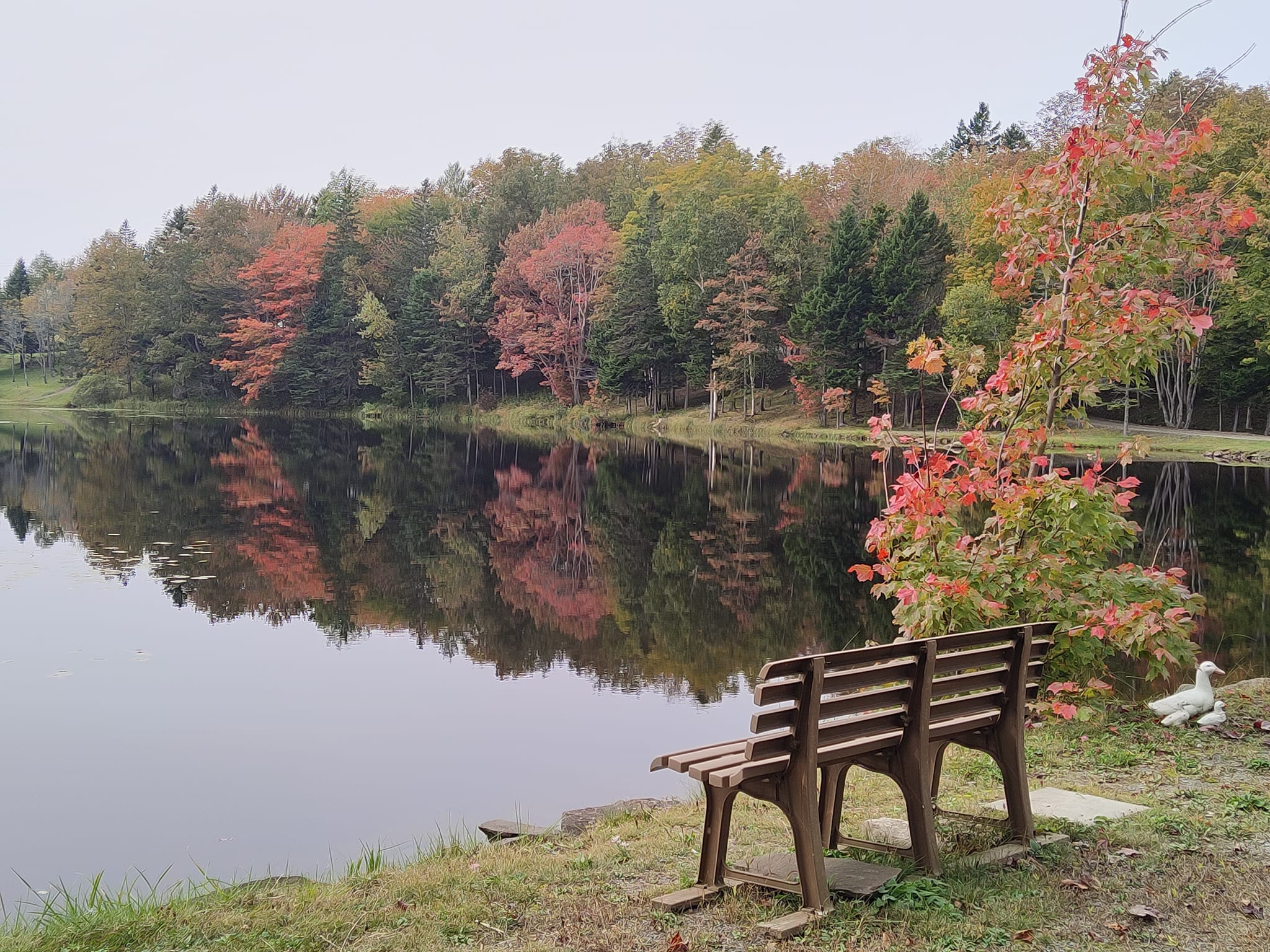 Mountain Top Cottages & Campground photo 5