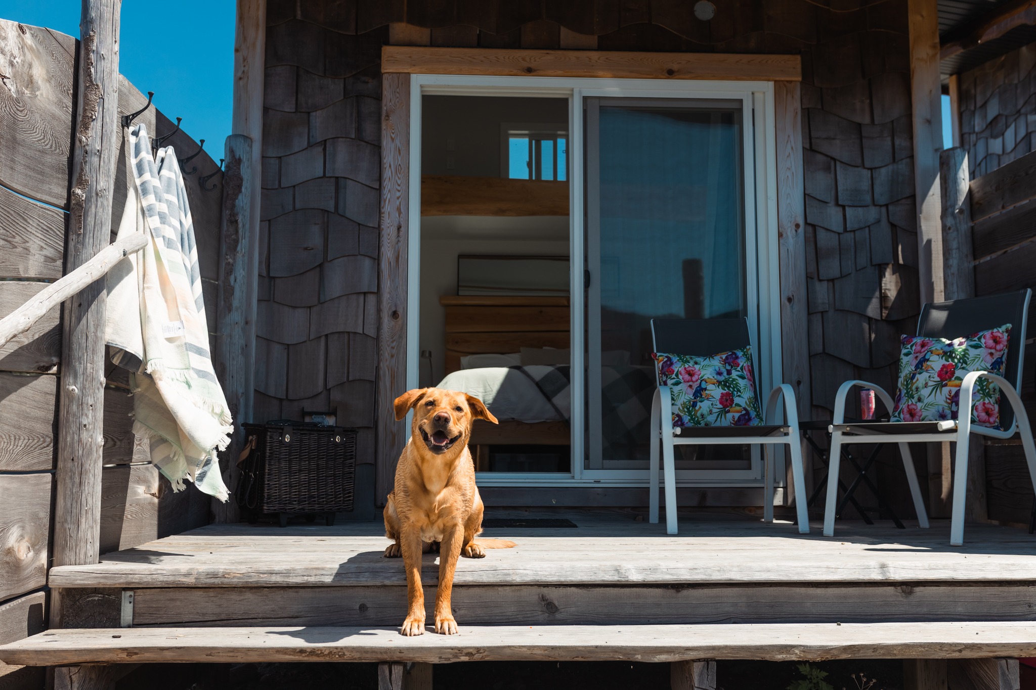 China Creek Campground photo 4