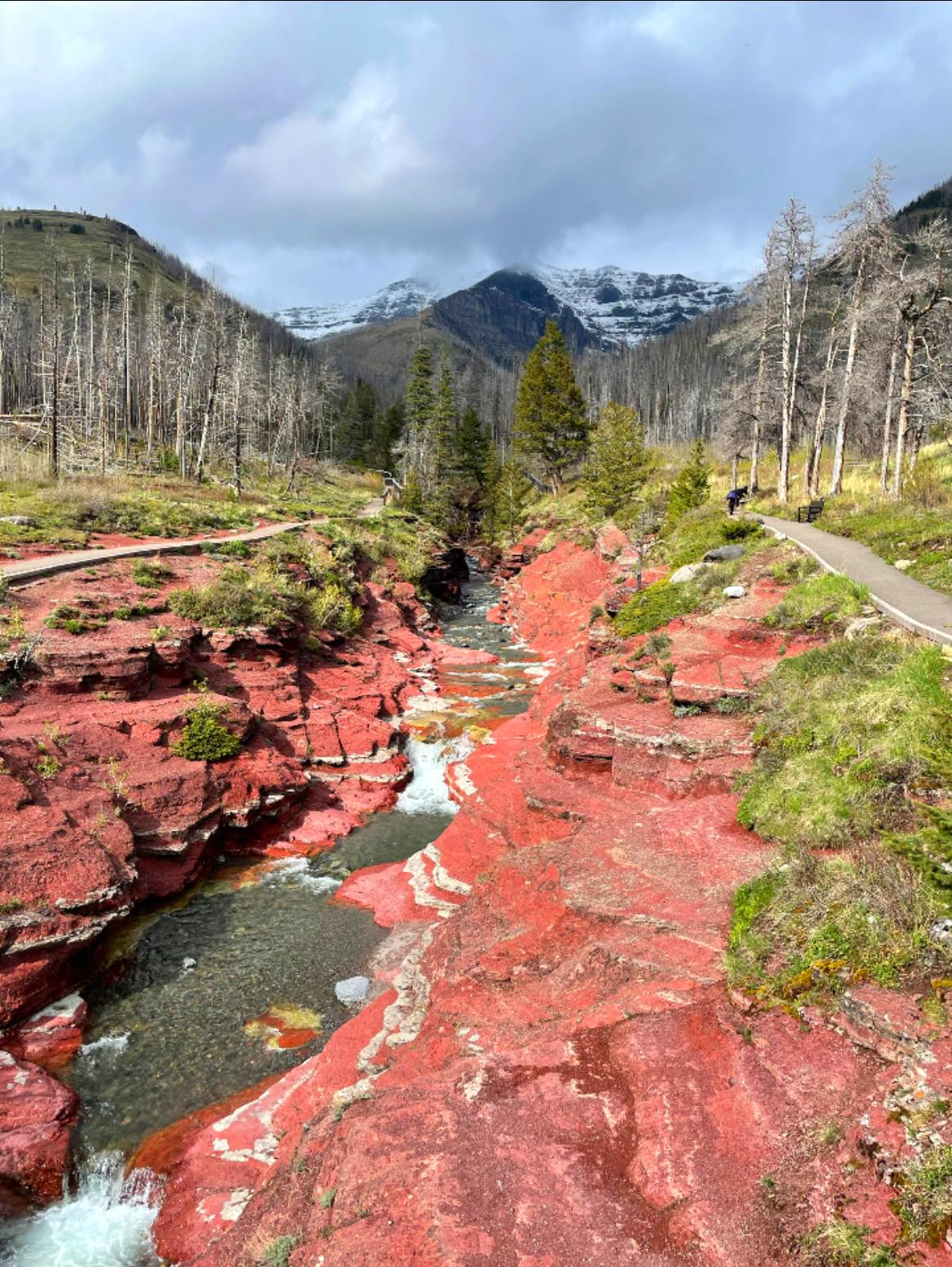 Lost Lemon Campground photo 5