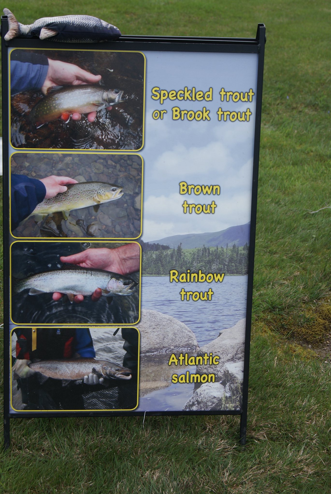 Lake Breeze Campground & Cottages photo 8