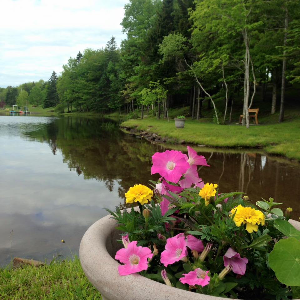 Mountain Top Cottages & Campground photo 4