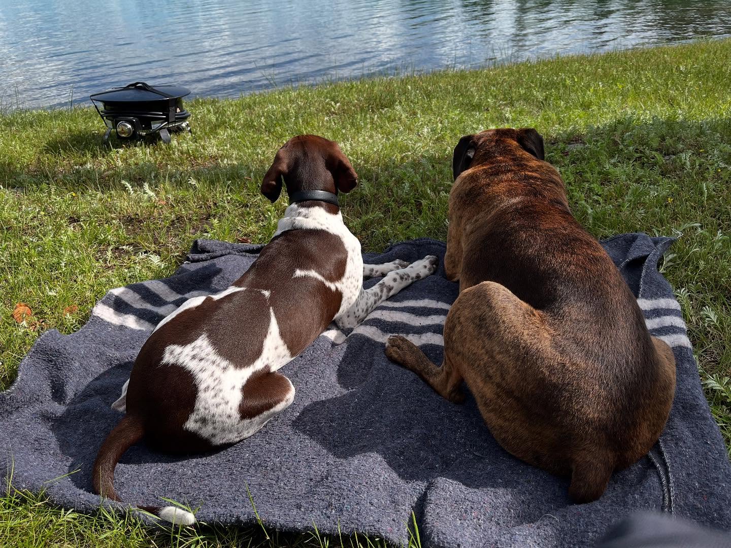 Little Horse Lodge amenities