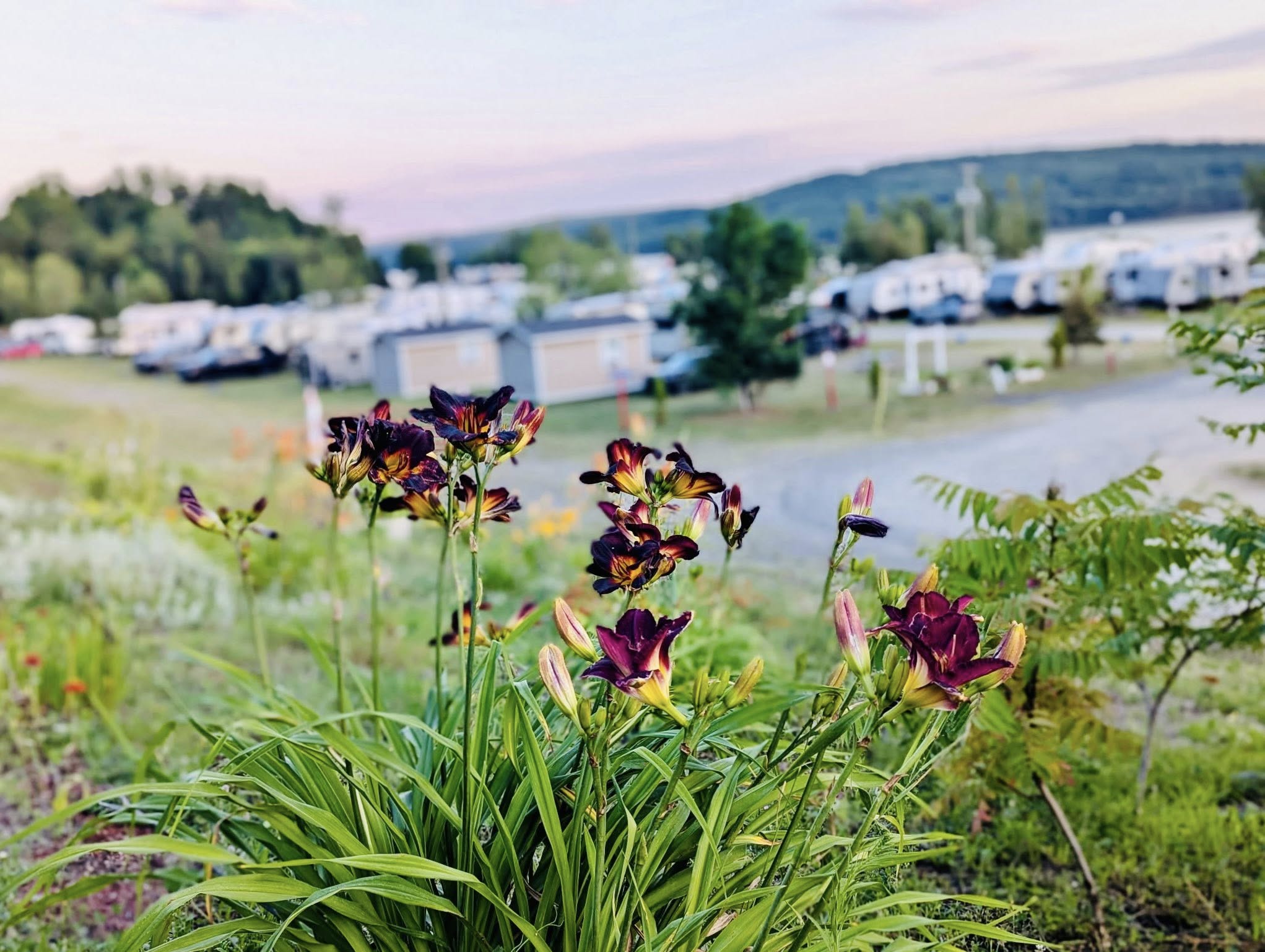 Mariners Point RV Campground photo 4