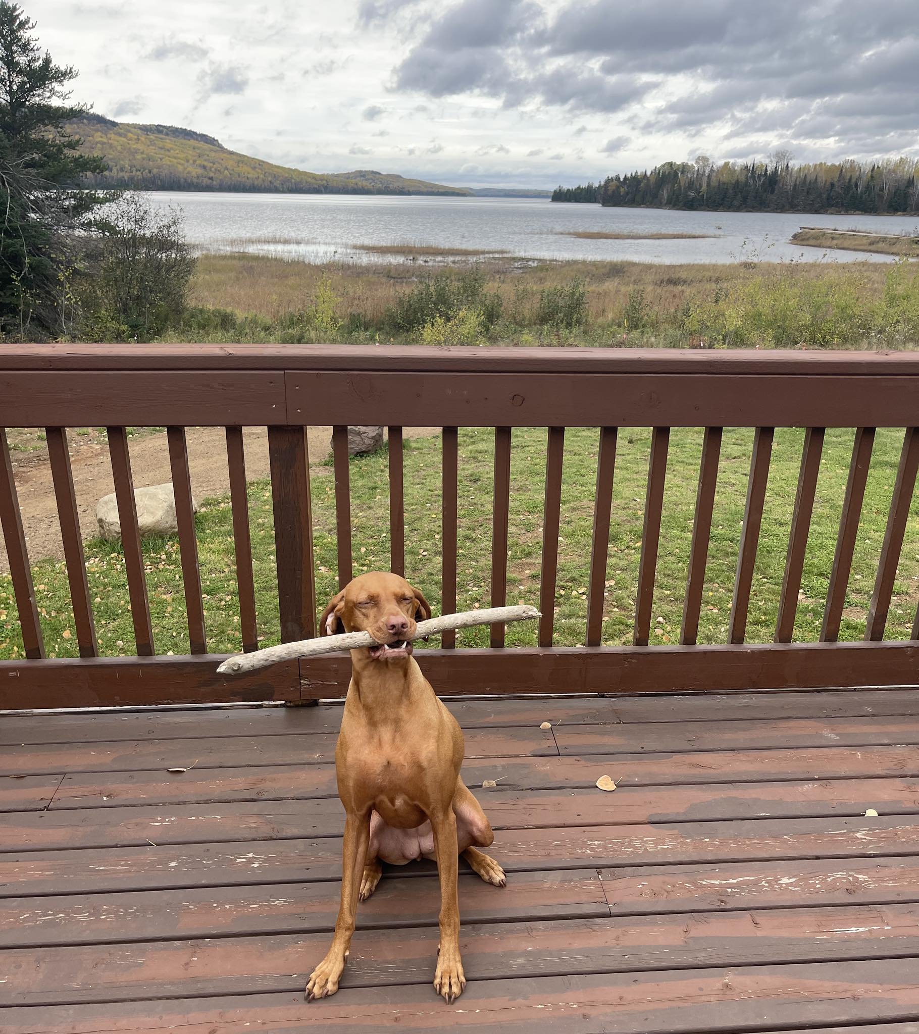 North Lake Resort photo 1