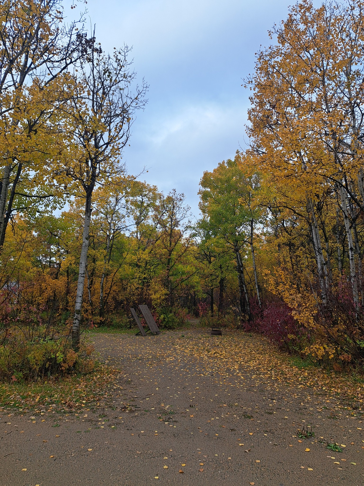 Aspen Grove Campground photo 5