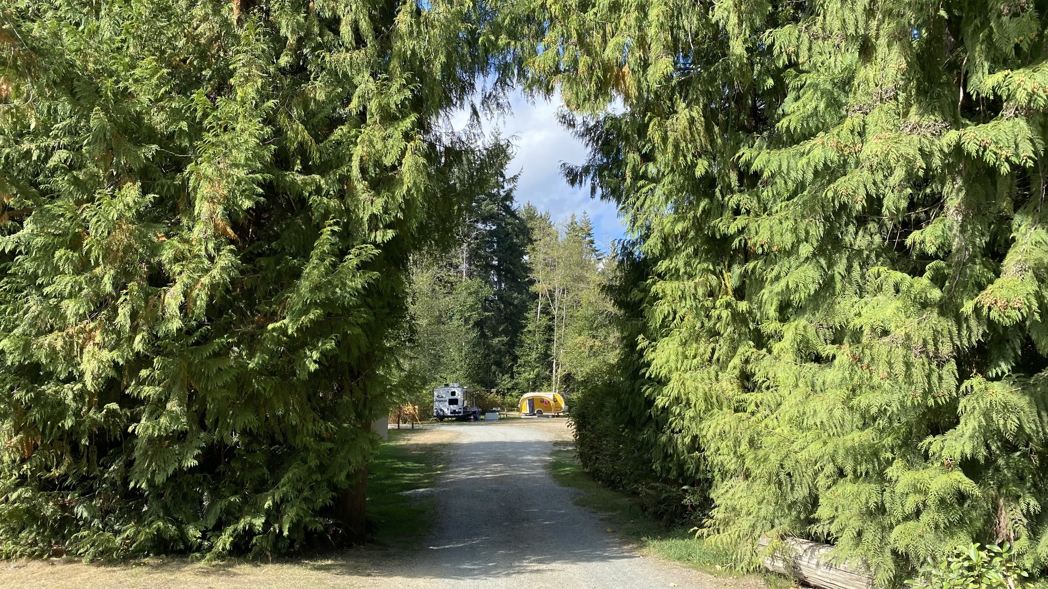 Coombs Country Campground photo 1