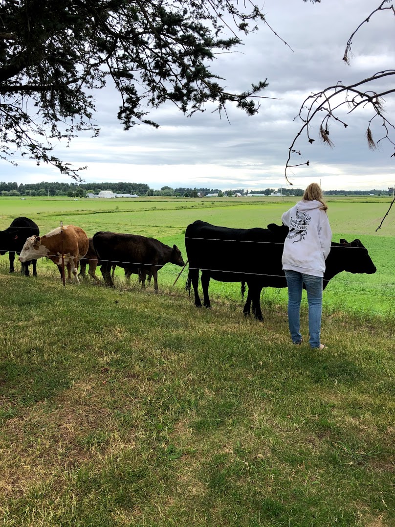 Oostema Farmstead photo 5