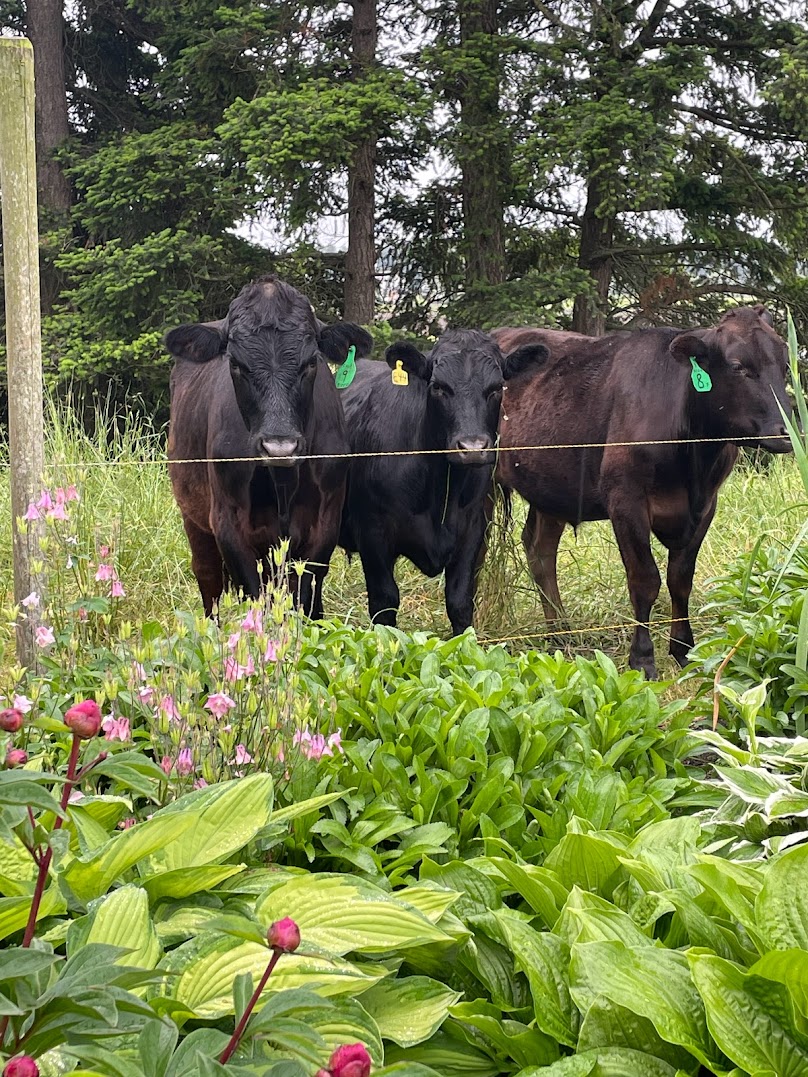 Oostema Farmstead photo 2