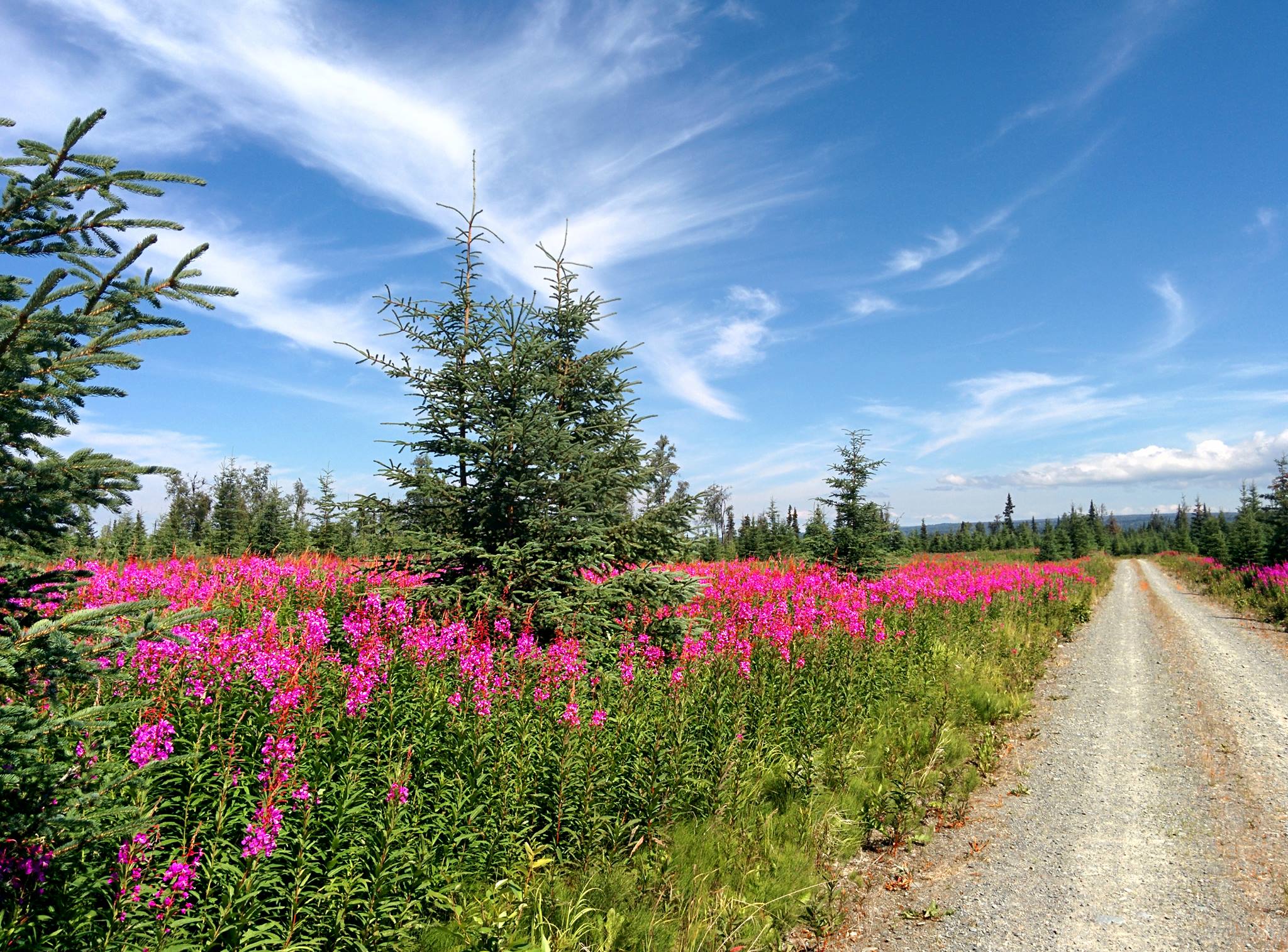 All Seasons Campground photo 6