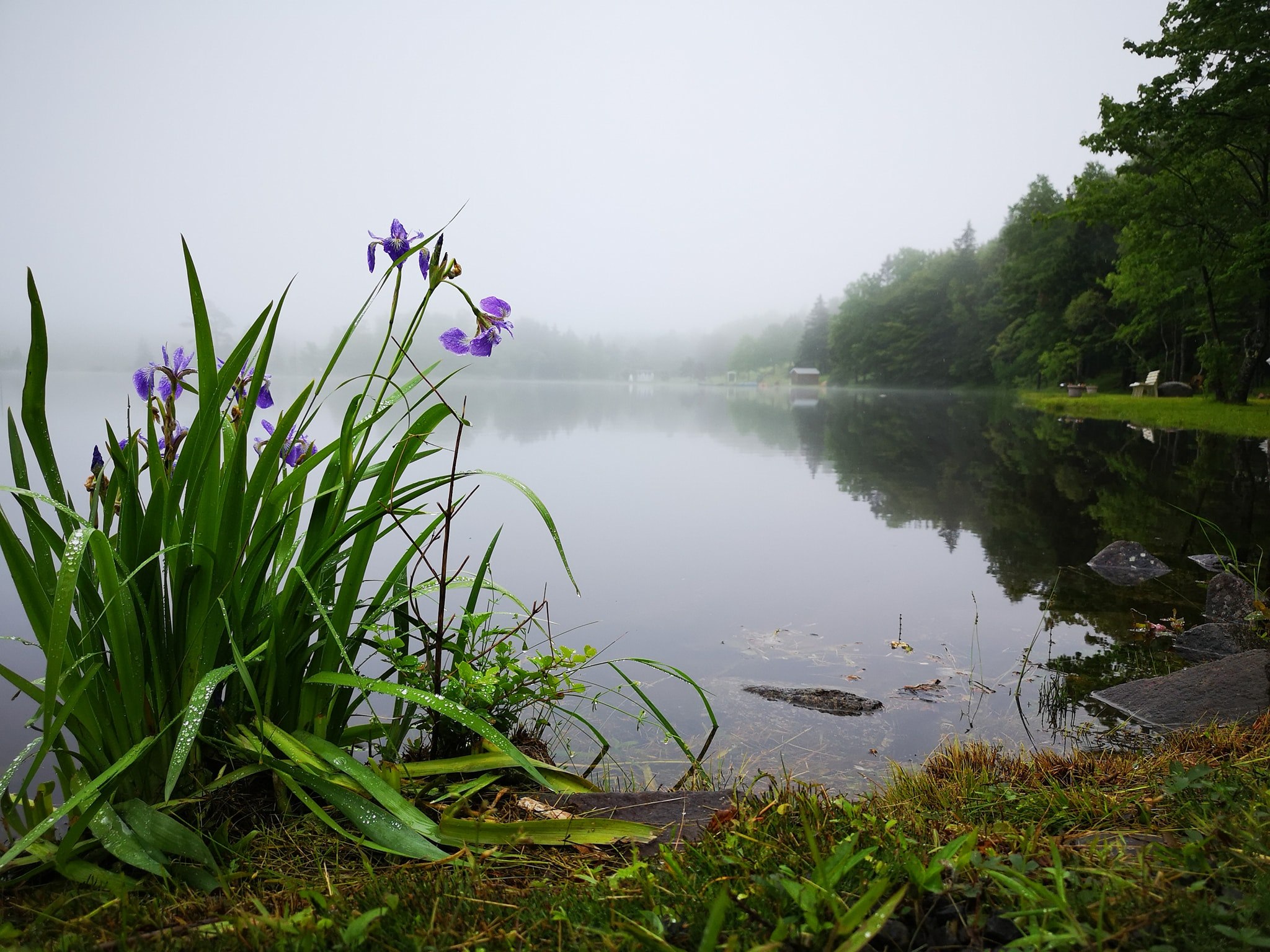 Mountain Top Cottages & Campground photo 8