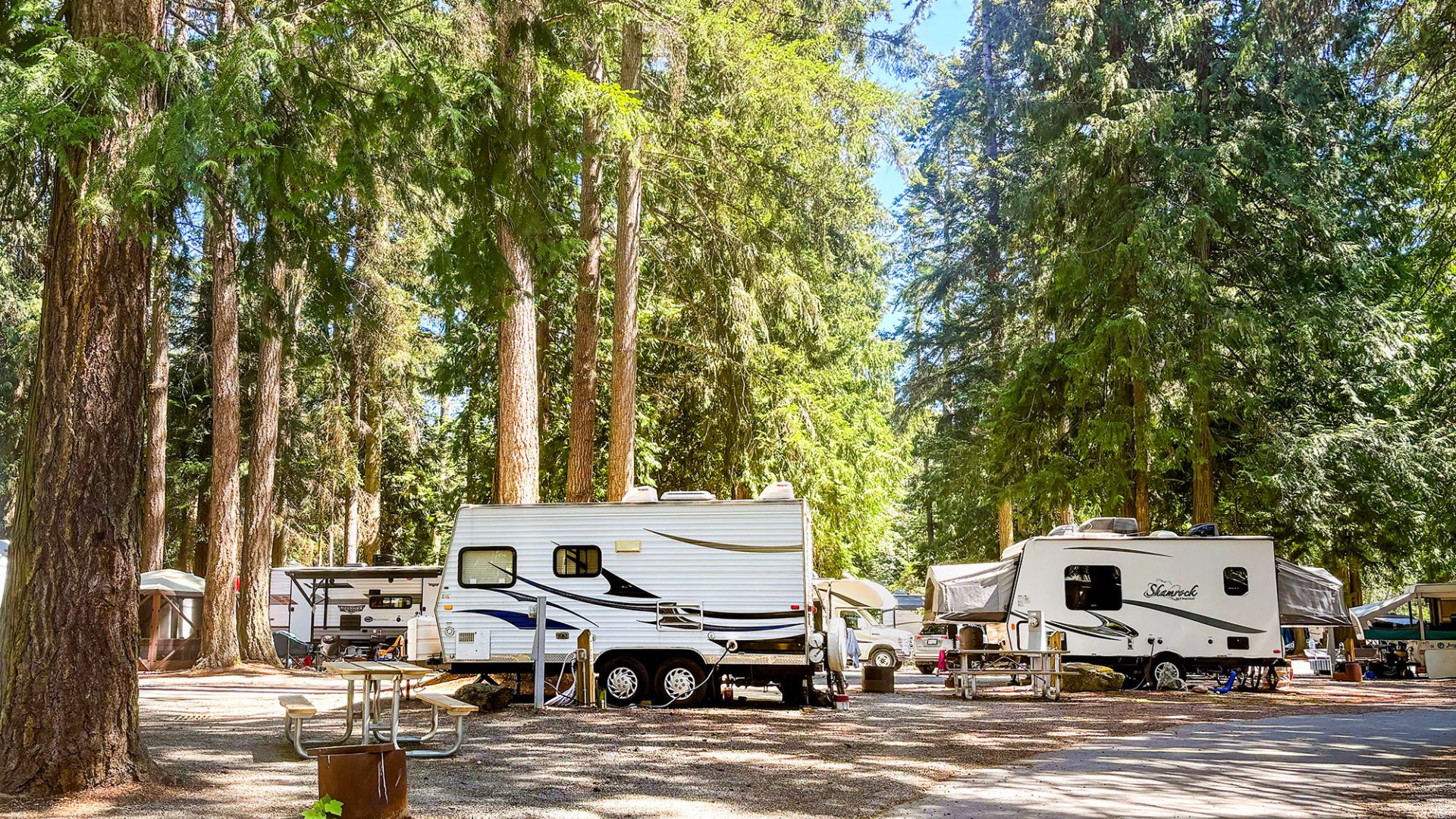 Pathfinder Parksville photo 2