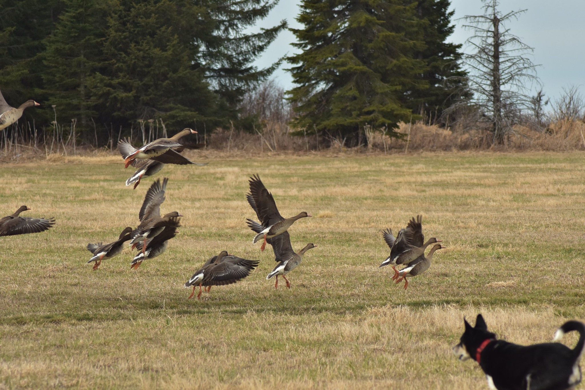 All Seasons Campground photo 8